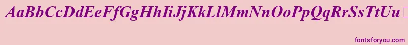 TimesNewRomanSpecialG1BoldItalic Font – Purple Fonts on Pink Background