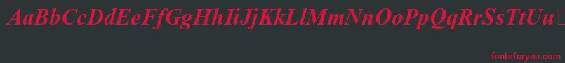 TimesNewRomanSpecialG1BoldItalic Font – Red Fonts on Black Background