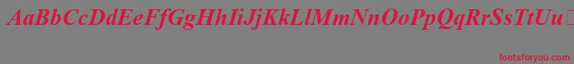 TimesNewRomanSpecialG1BoldItalic Font – Red Fonts on Gray Background