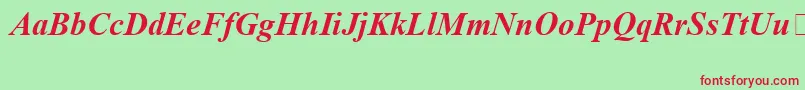 TimesNewRomanSpecialG1BoldItalic Font – Red Fonts on Green Background