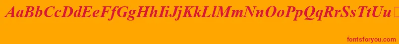 TimesNewRomanSpecialG1BoldItalic Font – Red Fonts on Orange Background