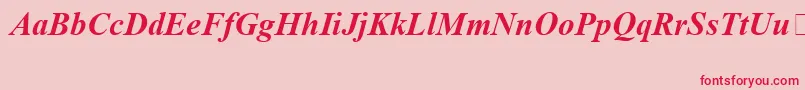 TimesNewRomanSpecialG1BoldItalic Font – Red Fonts on Pink Background