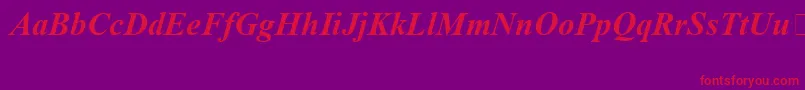 TimesNewRomanSpecialG1BoldItalic Font – Red Fonts on Purple Background