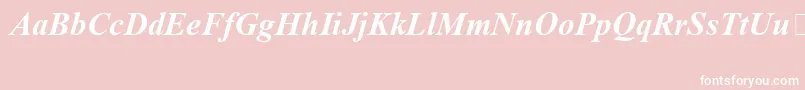 TimesNewRomanSpecialG1BoldItalic Font – White Fonts on Pink Background