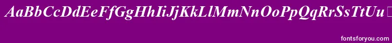 フォントTimesNewRomanSpecialG1BoldItalic – 紫の背景に白い文字