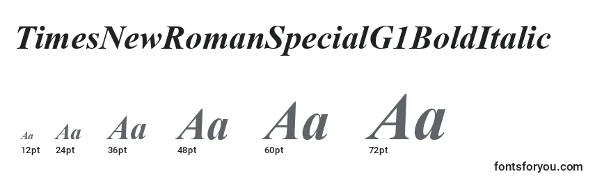 TimesNewRomanSpecialG1BoldItalic Font Sizes