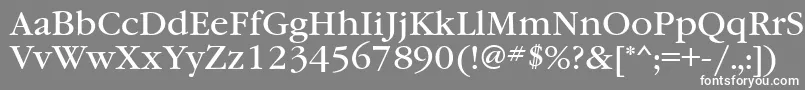 Garamondbookgtt Font – White Fonts on Gray Background