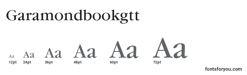 Размеры шрифта Garamondbookgtt