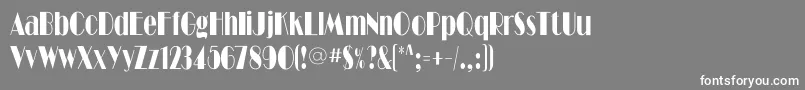Ritzflfcond Font – White Fonts on Gray Background