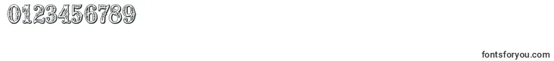 Saddlery Font – Fonts for Numbers and Digits