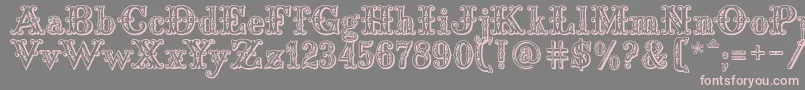 Saddlery Font – Pink Fonts on Gray Background