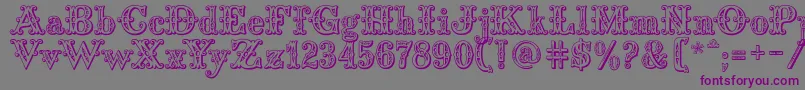 Saddlery Font – Purple Fonts on Gray Background