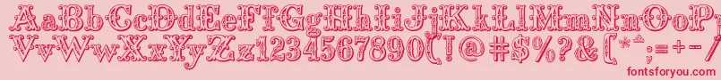 Saddlery Font – Red Fonts on Pink Background