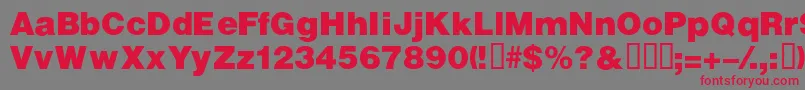 フォントVivassskBold – 赤い文字の灰色の背景