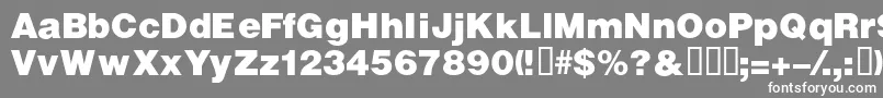 フォントVivassskBold – 灰色の背景に白い文字