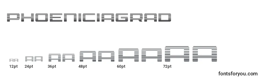 Размеры шрифта Phoeniciagrad