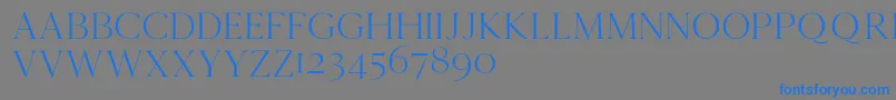 Cammrondemo Font – Blue Fonts on Gray Background