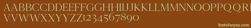 Cammrondemo Font – Green Fonts on Brown Background