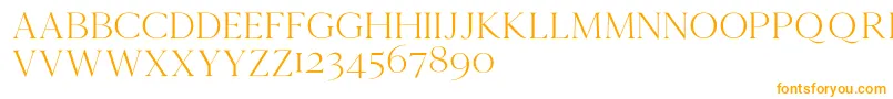 Cammrondemo Font – Orange Fonts on White Background