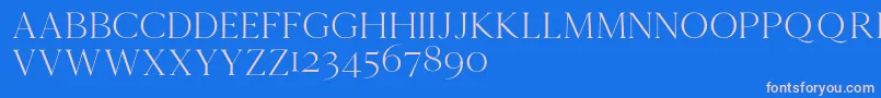 Cammrondemo Font – Pink Fonts on Blue Background