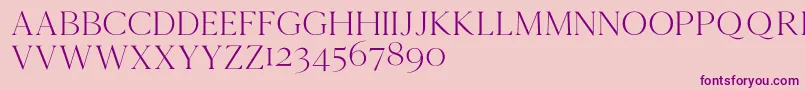 Cammrondemo Font – Purple Fonts on Pink Background