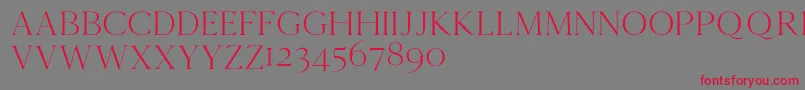 Cammrondemo Font – Red Fonts on Gray Background