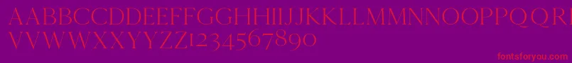 Cammrondemo-Schriftart – Rote Schriften auf violettem Hintergrund