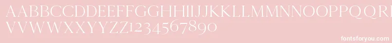 Cammrondemo Font – White Fonts on Pink Background