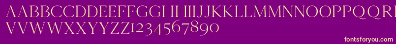 Cammrondemo Font – Yellow Fonts on Purple Background