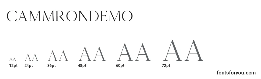 Размеры шрифта Cammrondemo
