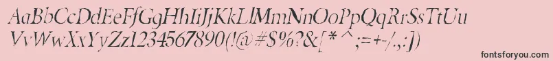 BeryliumgauntItalic Font – Black Fonts on Pink Background