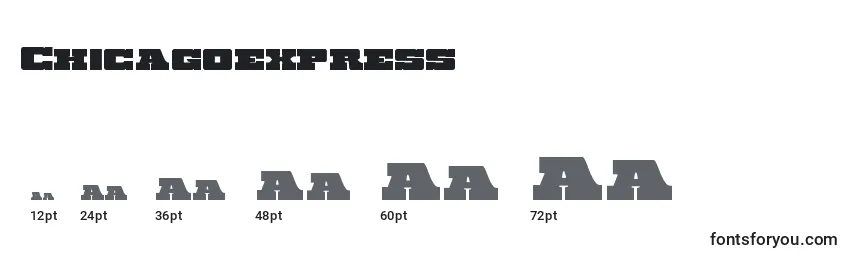Размеры шрифта Chicagoexpress