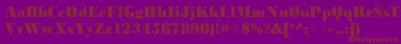 BodonirisingRegular Font – Brown Fonts on Purple Background