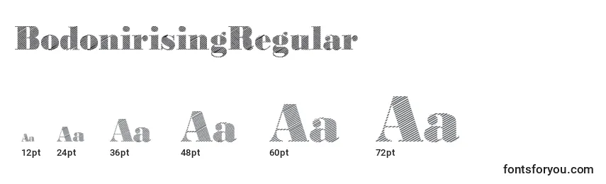 Размеры шрифта BodonirisingRegular