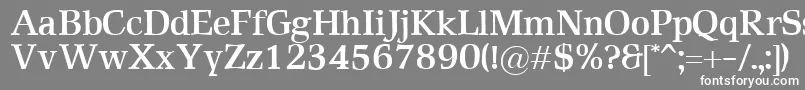 RustikaBold Font – White Fonts on Gray Background