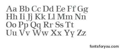 RustikaBold Font