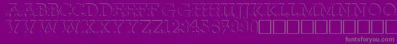 RobertoRegular Font – Gray Fonts on Purple Background