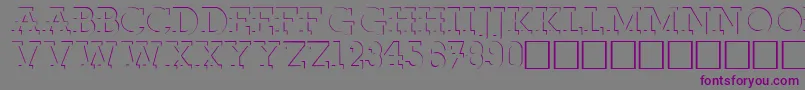 RobertoRegular-fontti – violetit fontit harmaalla taustalla