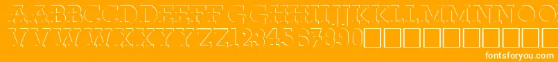 RobertoRegular Font – White Fonts on Orange Background