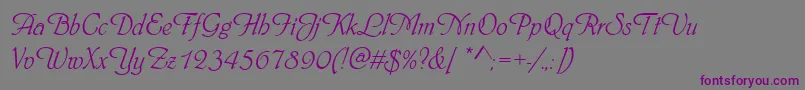 フォントPhyllisd – 紫色のフォント、灰色の背景