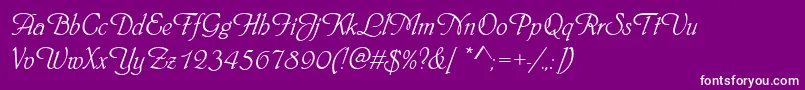 Phyllisd-Schriftart – Weiße Schriften auf violettem Hintergrund