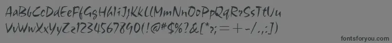 フォントChocitcTtLight – 黒い文字の灰色の背景