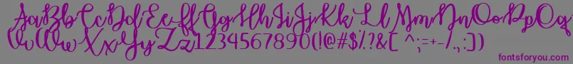 OctoberMoonTtf Font – Purple Fonts on Gray Background