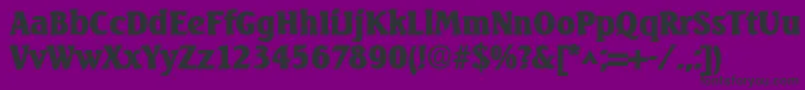 SeagulllhBold Font – Black Fonts on Purple Background