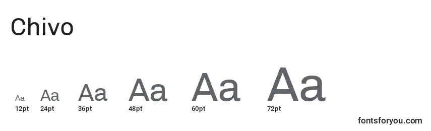 Chivo Font Sizes