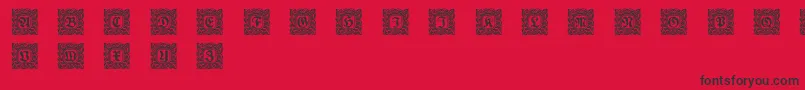 Schmuckinitialen2 Font – Black Fonts on Red Background