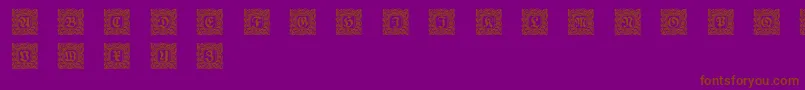 Schmuckinitialen2 Font – Brown Fonts on Purple Background