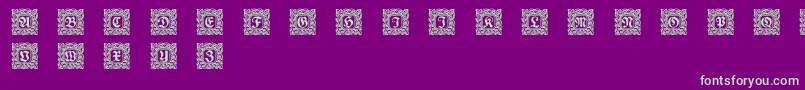 Schmuckinitialen2 Font – Green Fonts on Purple Background