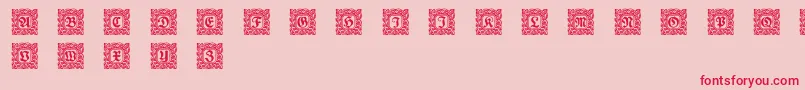 Schmuckinitialen2 Font – Red Fonts on Pink Background