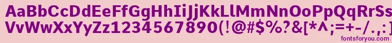 CommeExtrabold Font – Purple Fonts on Pink Background